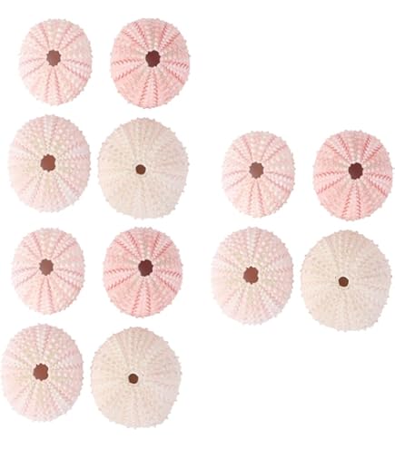 Amazon | 貝殻 パイプウニ スティック サイズ＆カラーミックス 30g